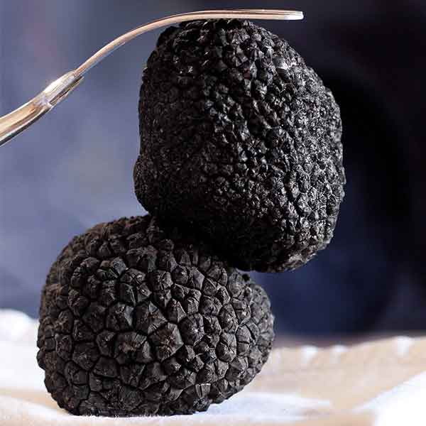 Copeaux de truffes noires fraîches